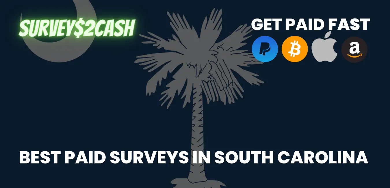Paid Surveys In South Carolina
