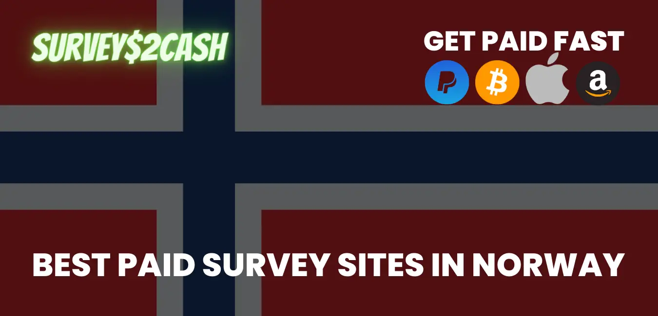 Best Paid Survey Sites in Norway